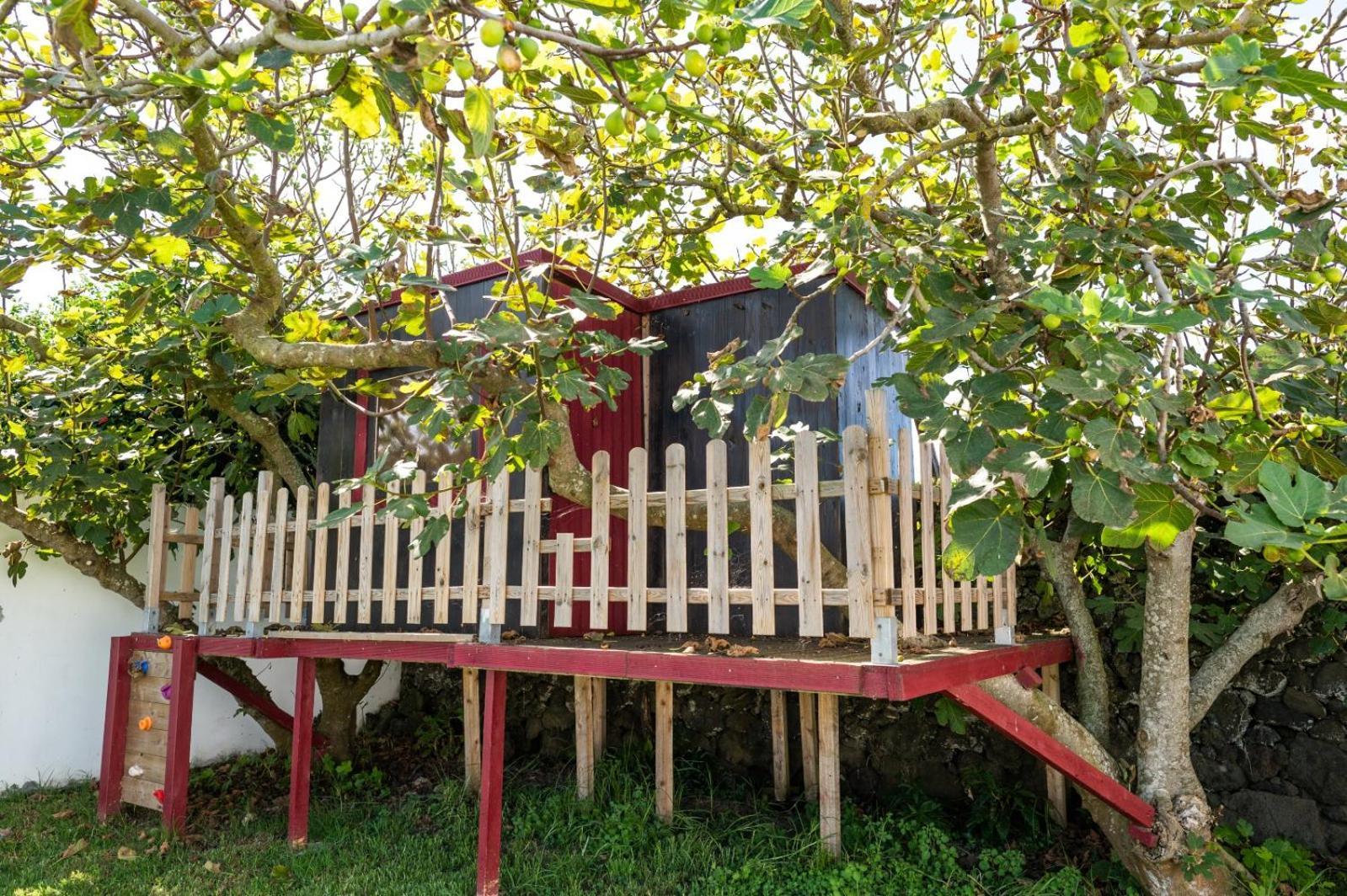 Azores Cow House Calhetas Eksteriør billede